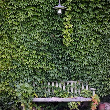 La Casa Vecchia Bed & Breakfast