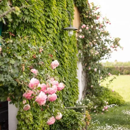 Bed & Breakfast La Casa Vecchia