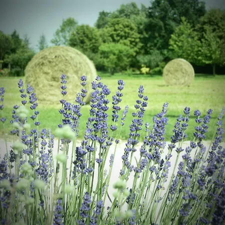 Bed & Breakfast La Casa Vecchia