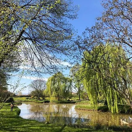 韦基亚住宿加早餐旅馆 *