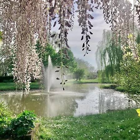 韦基亚住宿加早餐旅馆 住宿加早餐酒店