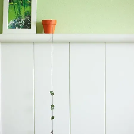 住宿加早餐酒店 韦基亚住宿加早餐旅馆