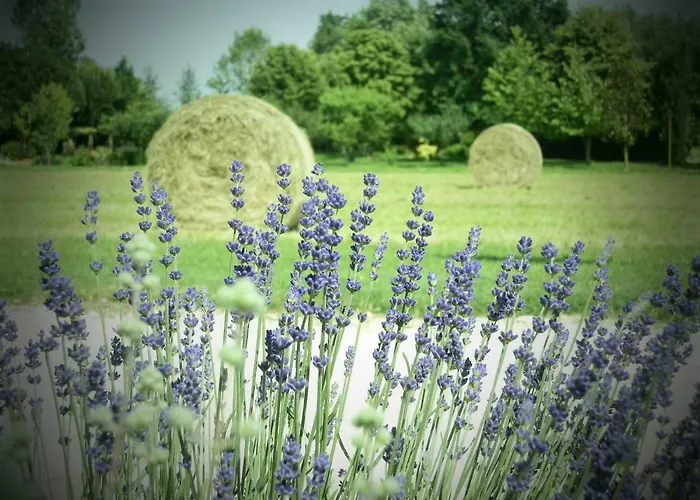 Oda ve Kahvaltı La Casa Vecchia