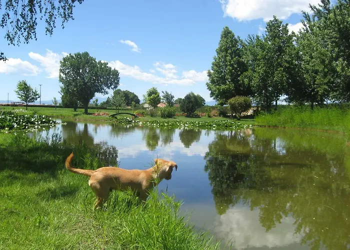 Oda ve Kahvaltı La Casa Vecchia